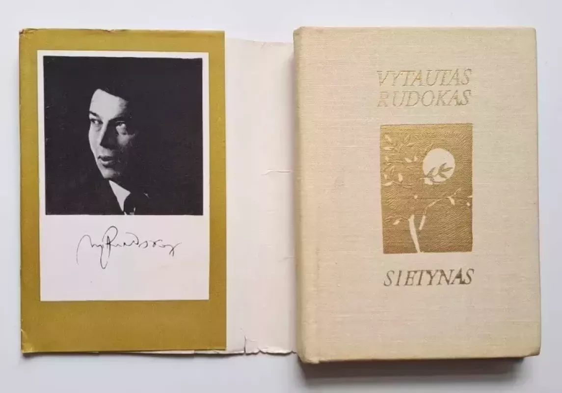 Sietynas. Rinktinė - Vytautas Rudokas, knyga 3