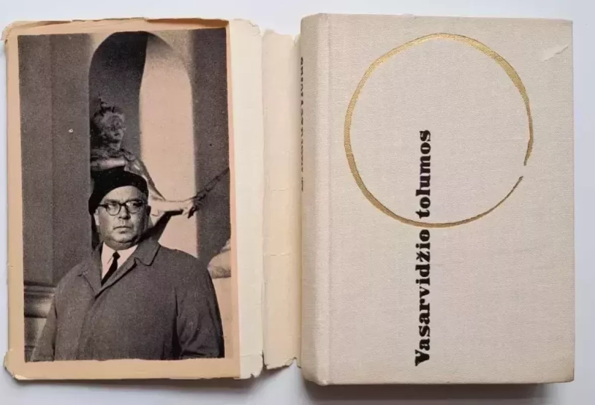 Vasarvidžio tolumos - Eugenijus Matuzevičius, knyga 3