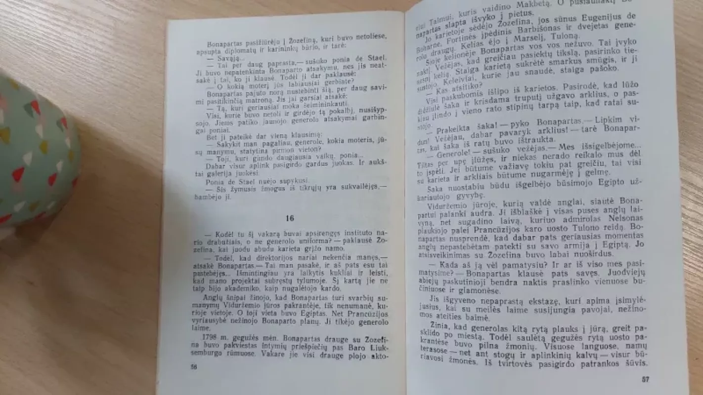 Napoleono ir Žozefinos meilės romanas - Polis Rebu, knyga 5