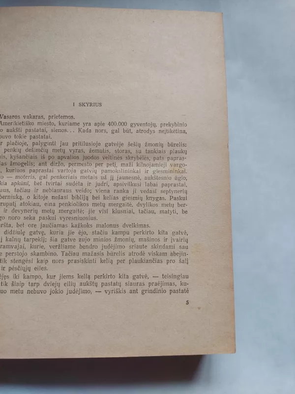Amerikoniškoji tragedija - Teodoras Dreizeris, knyga 4