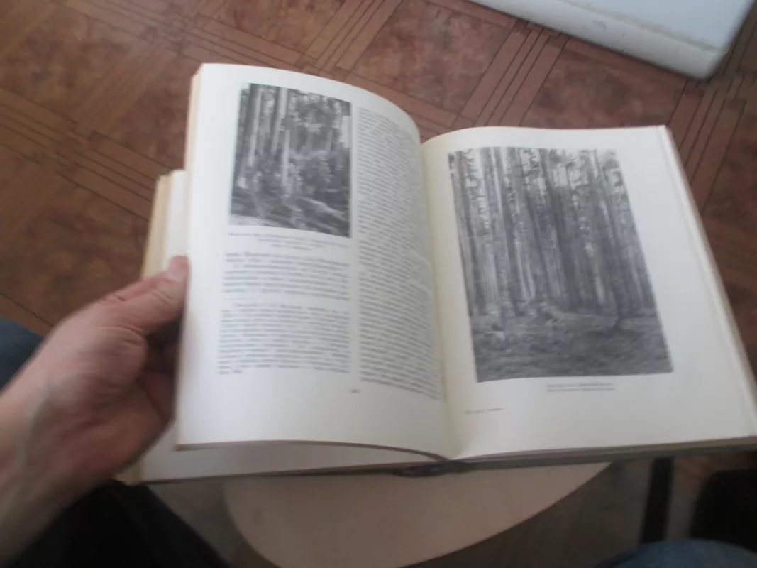 Bendroji miškininkystė - M.J. Tkačenko, knyga 5