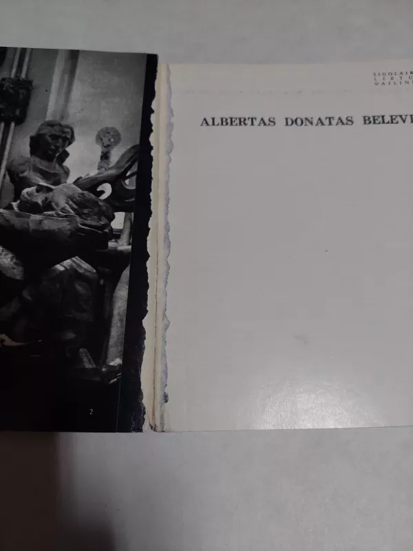 Albertas Donatas Belevičius - Liudvika Žeruolytė, knyga 2