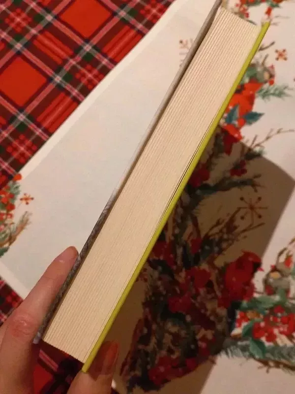 Žmogus aukštoje pilyje - Philip K. Dick, knyga 4