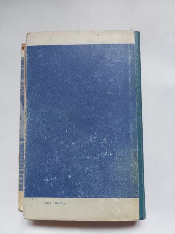 Aerouostas - Arthur Hailey, knyga 4