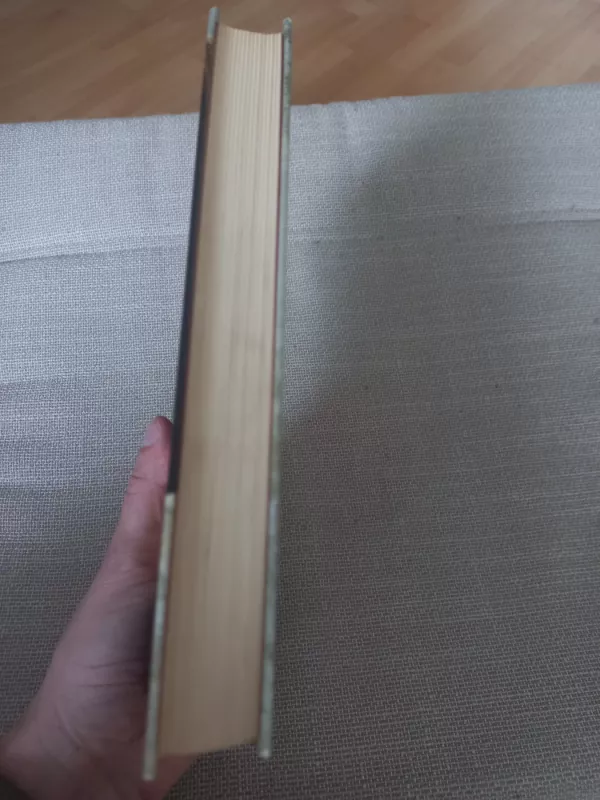 Vilniaus plovas - Regimantas Dima, knyga 3