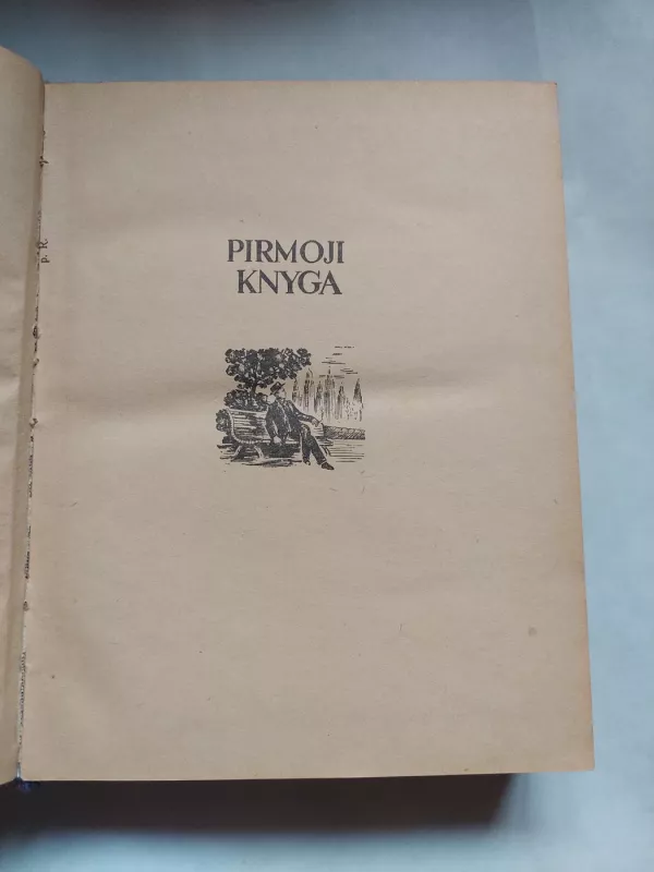 Amerikoniškoji tragedija - Teodoras Dreizeris, knyga 5
