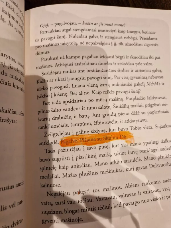 Kaip pavogti šunį - Barbara O’Connor, knyga 3