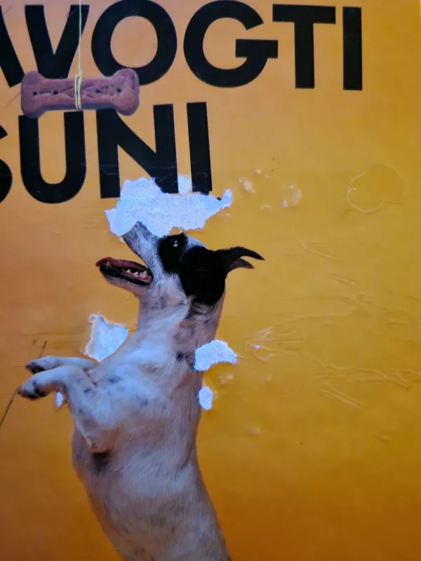 Kaip pavogti šunį - Barbara O’Connor, knyga 4