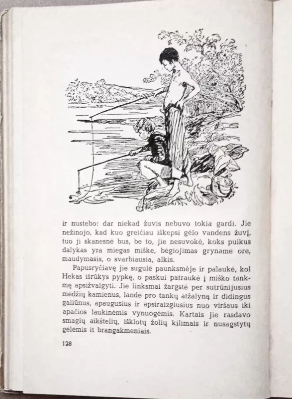 Tomo Sojerio nuotykiai - Markas Tvenas, knyga 6