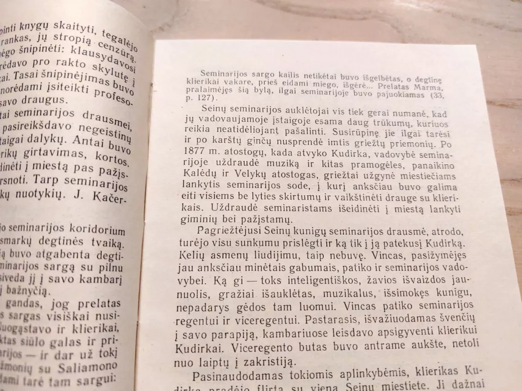 J.Būtėnas Vincas Kudirka - Melvin Burgess, knyga 6