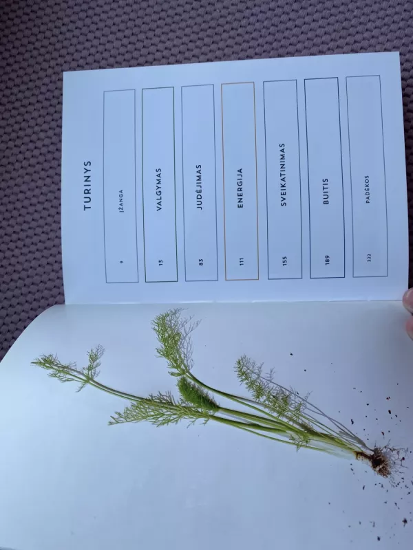 Naujosios sveikatos taisyklės - Frank Lipman Danielle Claro, knyga 6