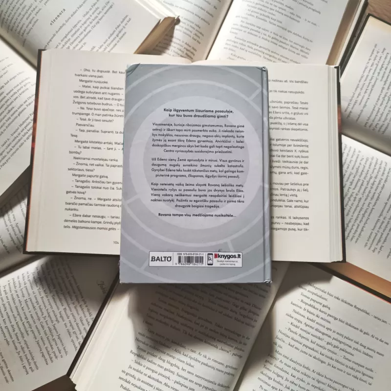 Edeno vaikai - Joey Graceffa, knyga 3