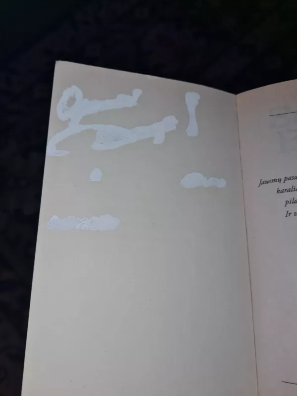 Rytojaus viltys - Sandra Brown, knyga 3