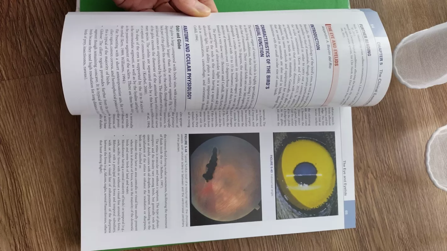 Avian medicine - Jame Samour, knyga 4