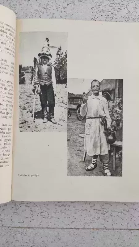 Lietuvių šeimos tradicijos - Angelė Vyšniauskaitė, knyga 5