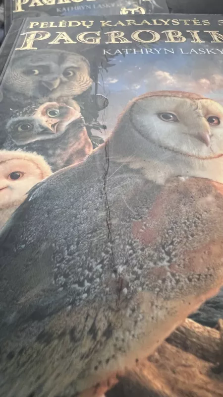 Pelėdų karalystės sargai. Pagrobimas - Kathryn Lasky, knyga 3