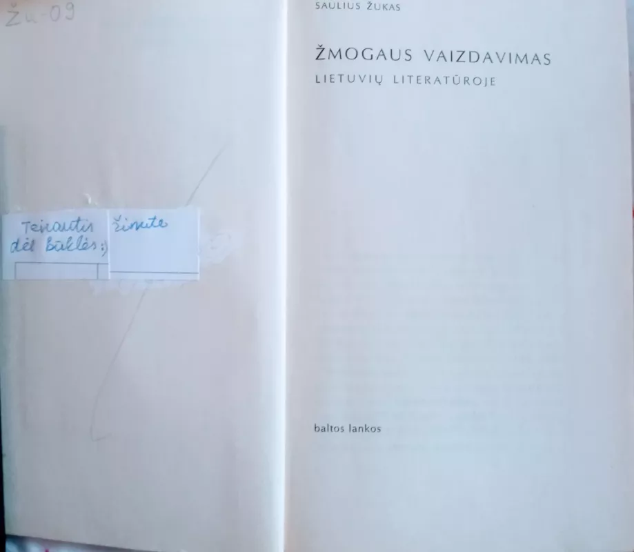 Zmogaus vaizdavimas lietuviu literaturoje - Saulius Žukas, knyga 6