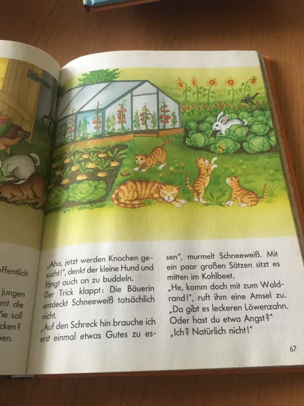 Neue Geschichten vom Bauernhof - Autorių grupė, knyga 4