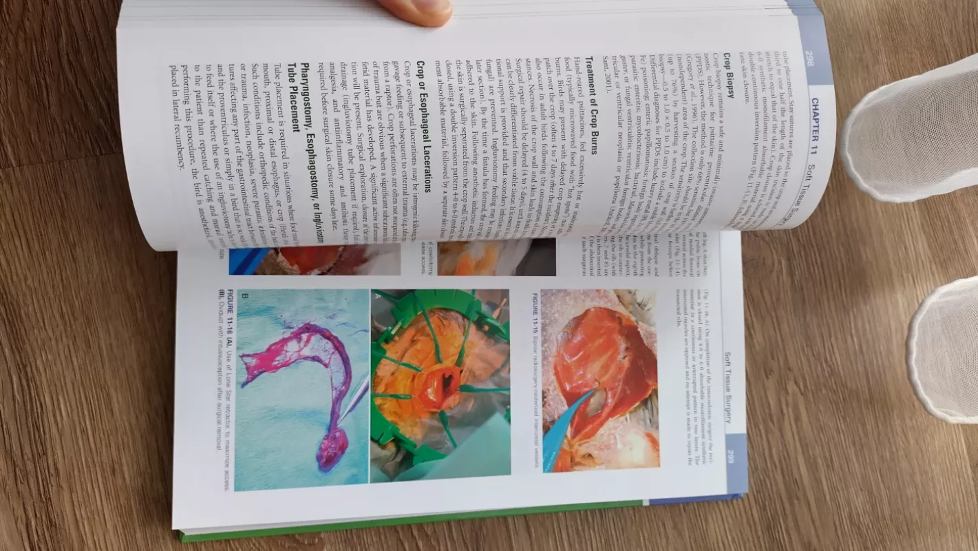 Avian medicine - Jame Samour, knyga 5