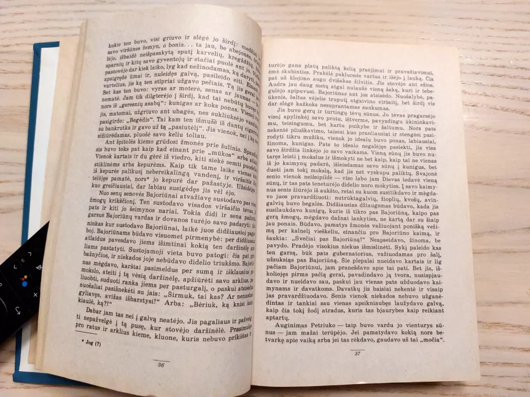 Blūdas. Klaida - Pelėda Lazdynų, knyga 5