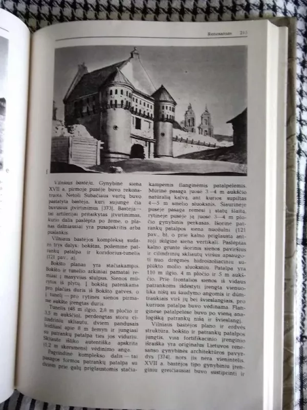 Lietuvos architektūros istorija nuo seniausių laikų iki XVII a. vidurio - Autorių Kolektyvas, knyga 5