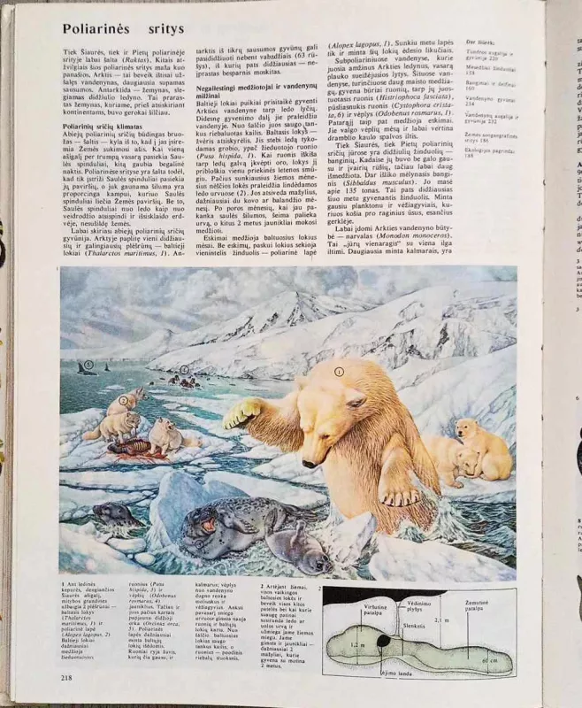 Gyvoji gamta - Autorių Kolektyvas, knyga 6