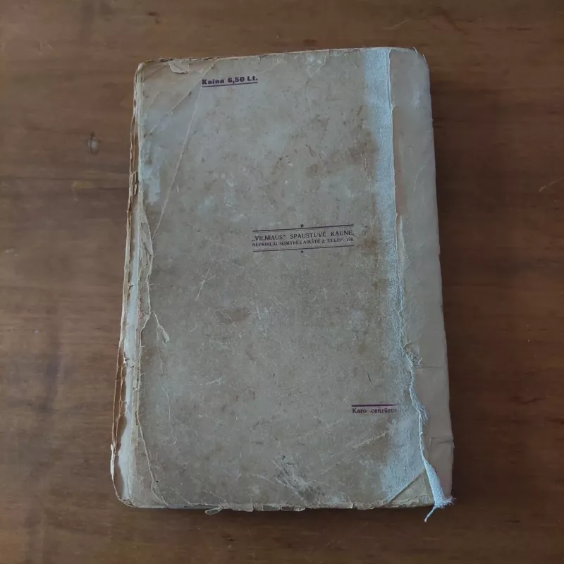 Kristaus istorija (II dalis) - Giovanni Papini, knyga 4