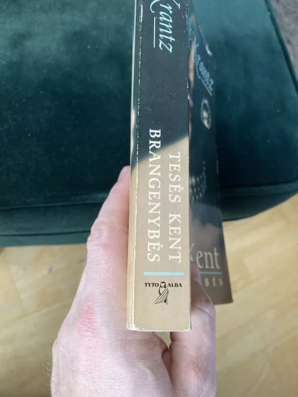 TESĖS KENT BRANGENYBĖS - Judith Krantz, knyga 6