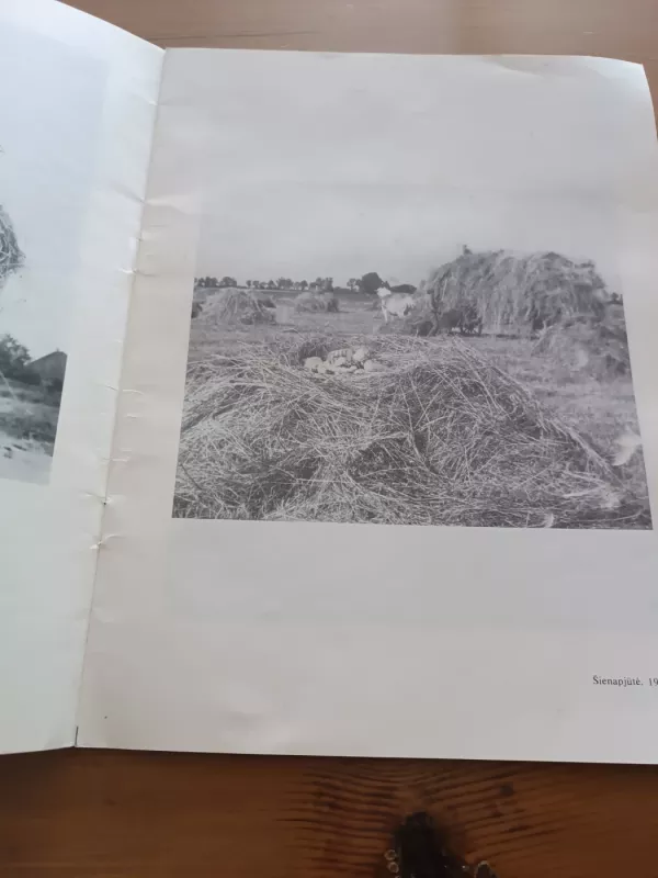 Fotografijos paroda - Aleksandras Dapkevičius, knyga 6