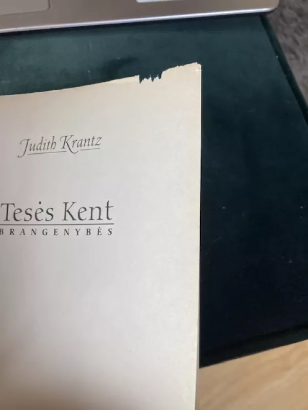 TESĖS KENT BRANGENYBĖS - Judith Krantz, knyga 2