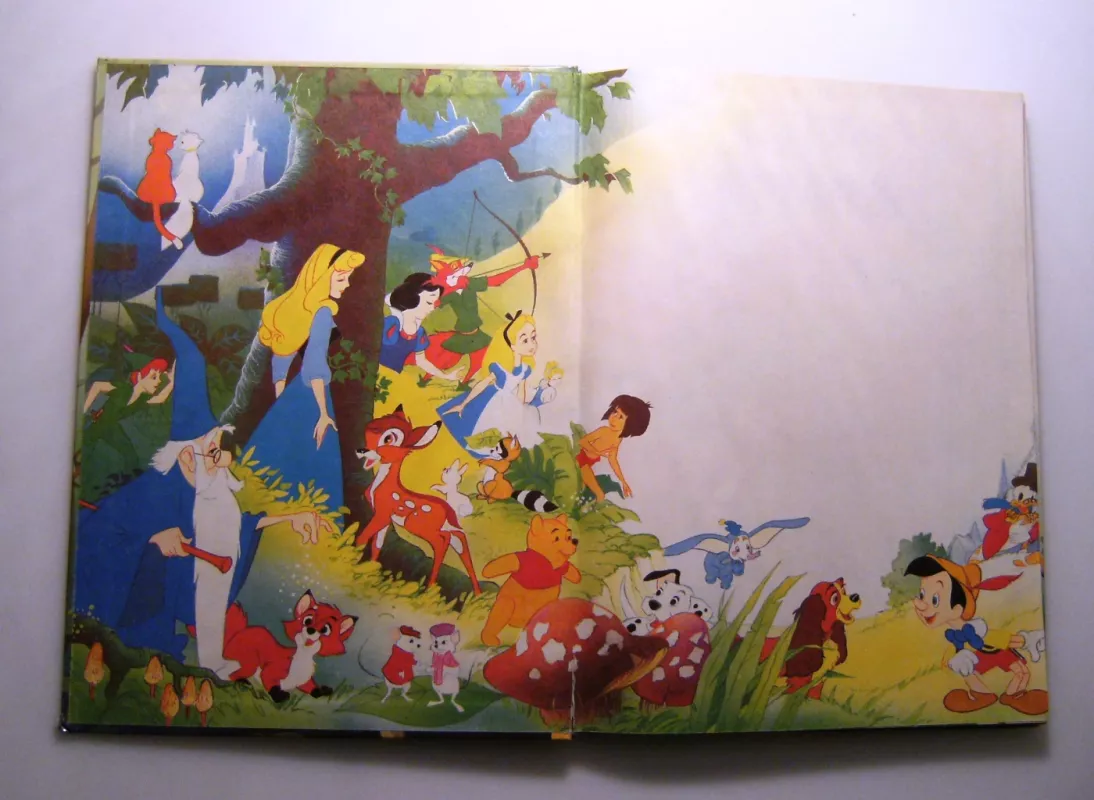 Bembis - Walt Disney, knyga 4