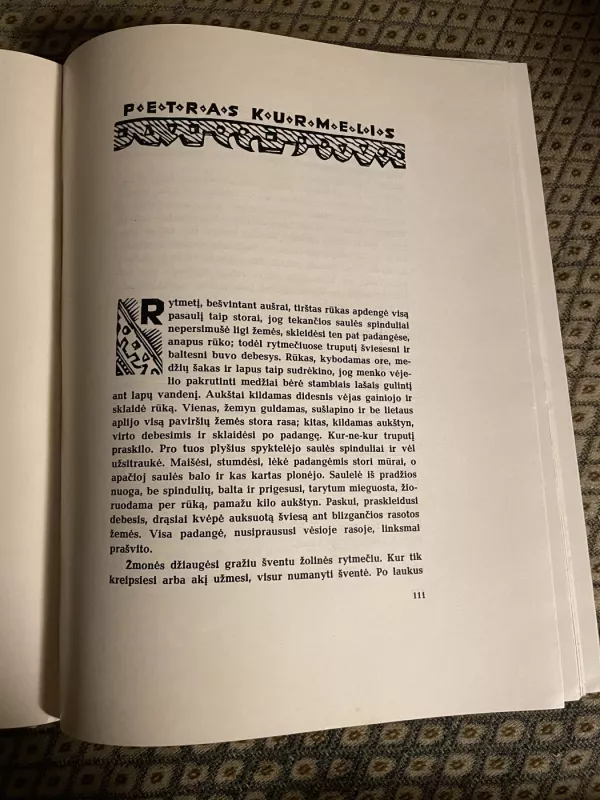 Rudens vakaras - Autorių Kolektyvas, knyga 5