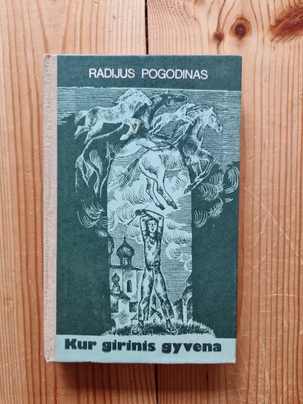 Kur girinis gyvena - Radijus Pogodinas, knyga 2
