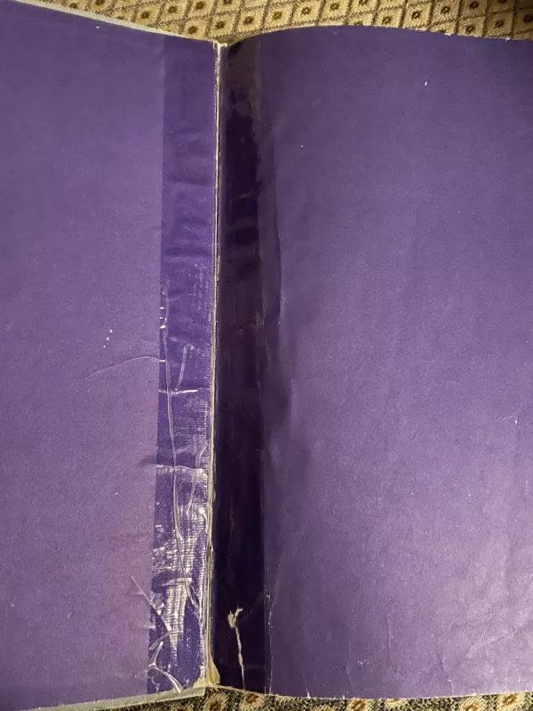 Varlė karalienė - Kostas Kubilinskas, knyga 5