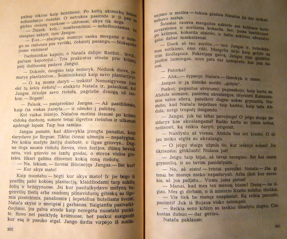 Afalinų grota - Pavelas Misko, knyga 6