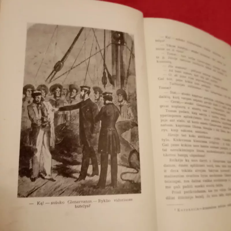 Kapitono Granto vaikai - Žiulis Vernas, knyga 4