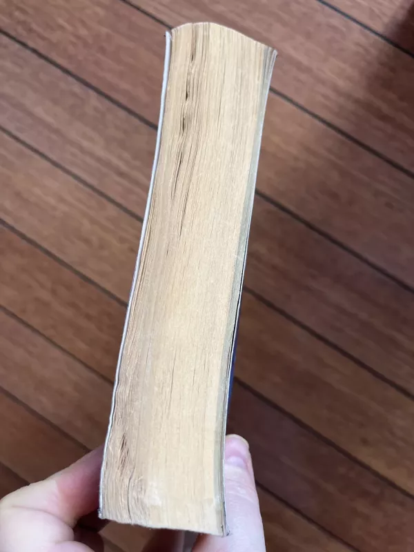 The Midnight Line - Child Lee, knyga 5