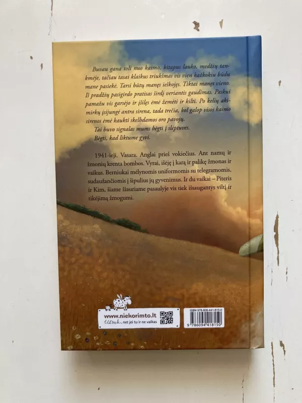 Mano draugas priešas - Dan Smith, knyga 3