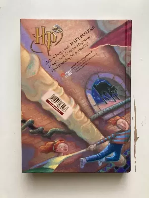 Haris Poteris ir paslapčių kambarys - Rowling J. K., knyga 3