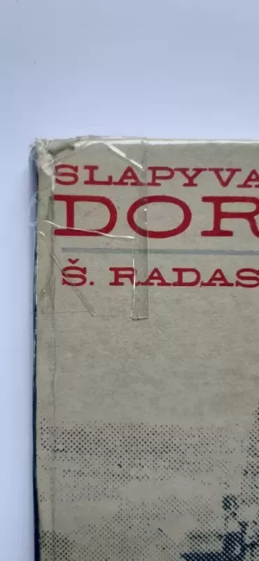 Slapyvardžiu DORA - Š. Radas, knyga 3
