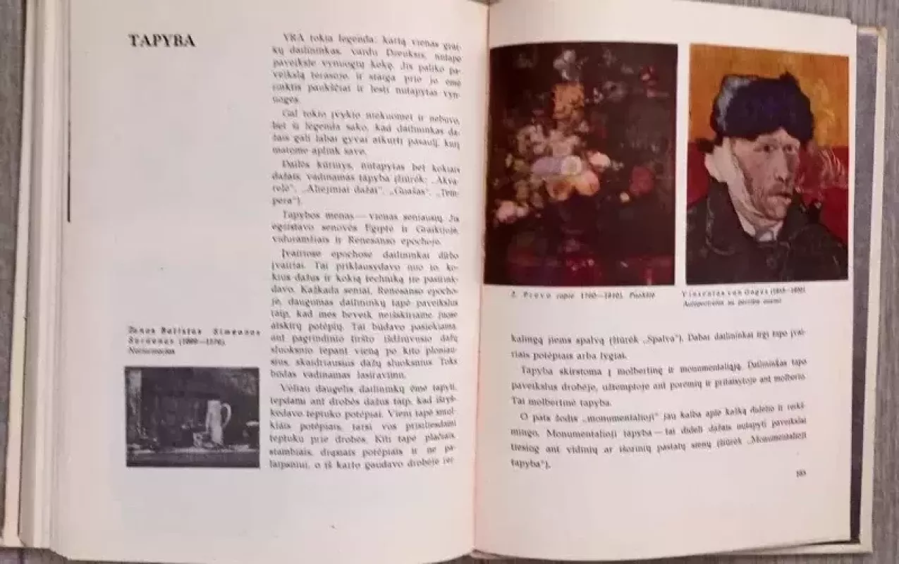 Kokios spalvos vaivorykštė - Jevgenija Kameneva, knyga 5