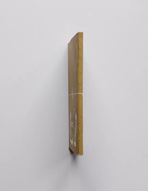 Feodalinės Lietuvos valstybingumas po Liublino unijos - Stasys Vansevičius, knyga 4