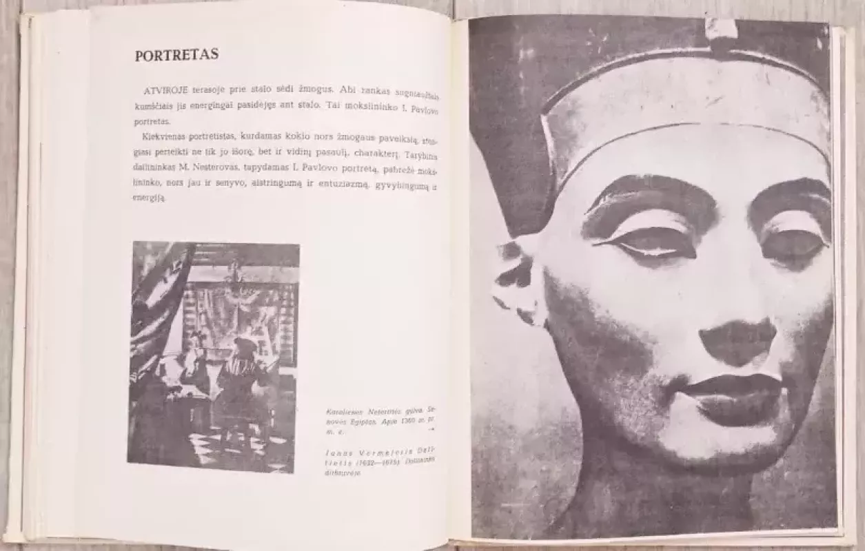 Kokios spalvos vaivorykštė - Jevgenija Kameneva, knyga 6