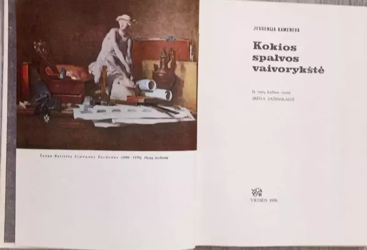 Kokios spalvos vaivorykštė - Jevgenija Kameneva, knyga 4