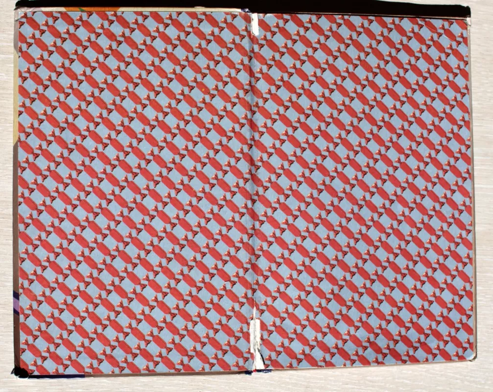 Agė Melagė - Kostas Kubilinskas, knyga 5