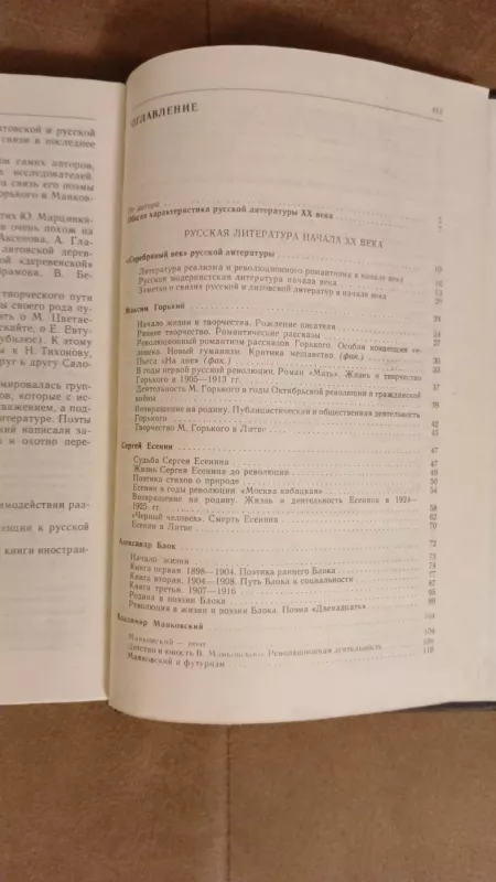 Ruskaja literatura. Uchebnoje posobije dlia XII klasa - R.Glinterščik, knyga 5