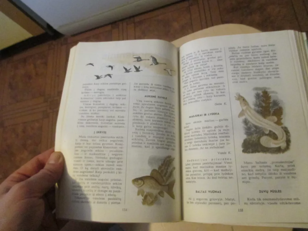 Povandeninis laikraštis - Nikolajus Sladkovas, knyga 5