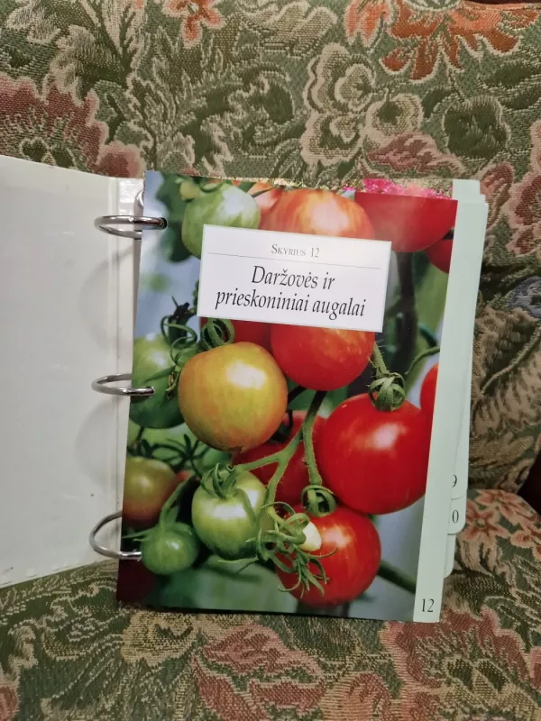 Mano svajonių sodas - Autorių Kolektyvas, knyga 3