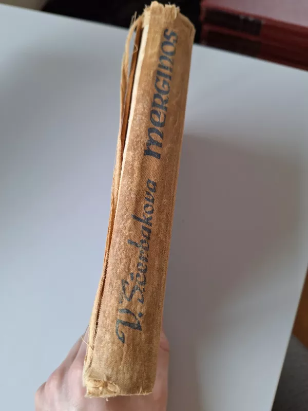 Merginos - V. Ščerbakova, knyga 3