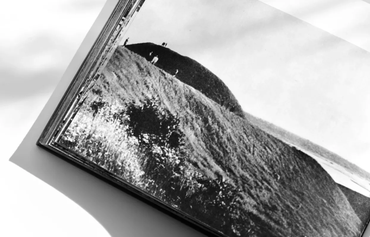 Tėviškė - Vytautas Ylevičius, knyga 2